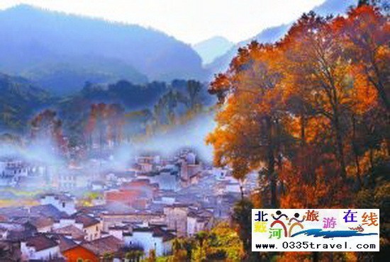 請父母旅游小貼士