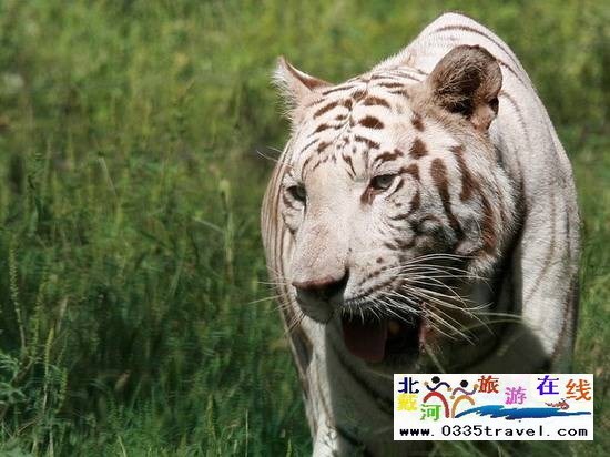 秦皇島野生動(dòng)物園