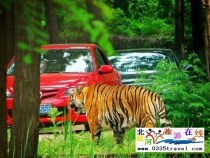 秦皇島野生動(dòng)物園景點(diǎn)門票優(yōu)惠88元起團(tuán)，一人也成團(tuán)，團(tuán)隊(duì)更優(yōu)惠，咨詢電話0335-3522599: