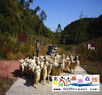 東戴河小河口長(zhǎng)城門(mén)票