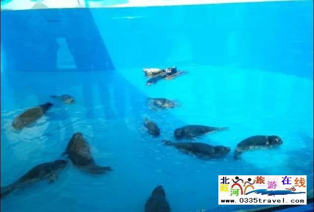 圣藍(lán)皇家海洋公園