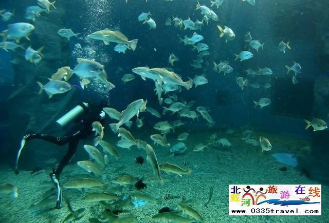 北戴河圣藍(lán)皇家海洋公園