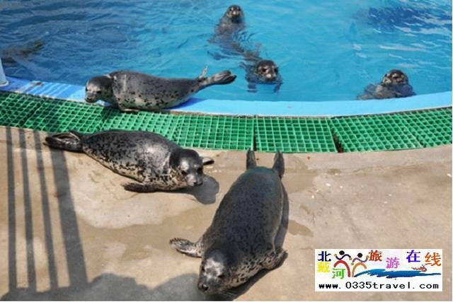 北戴河圣藍(lán)皇家海洋公園