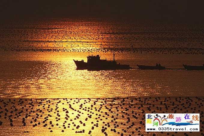 東戴河北戴河南戴河出海打漁看日出電話0335-3522599,13785079044