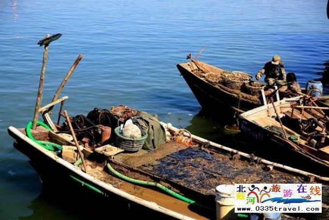 來(lái)東戴河您必須做這些事兒