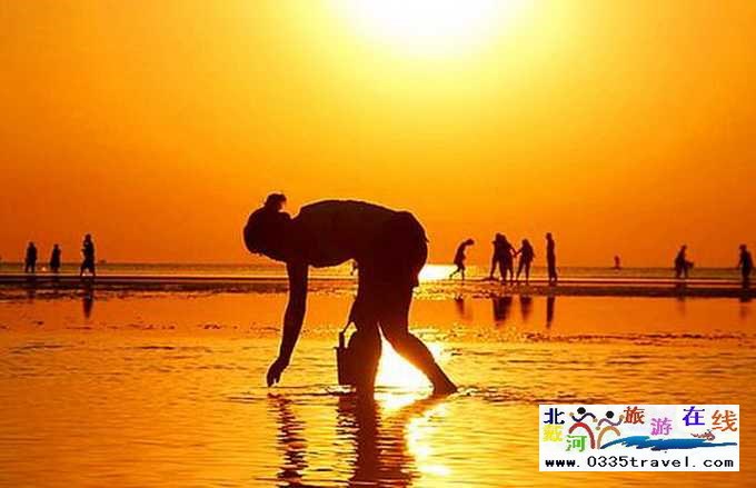 來(lái)東戴河您必須做這些事兒