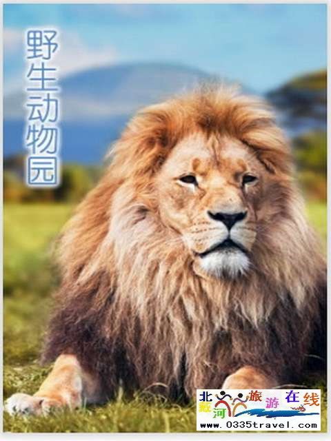 秦皇島一卡通旅游年票優(yōu)惠辦理電話(huà)0335-3522588 3522599 13191824199