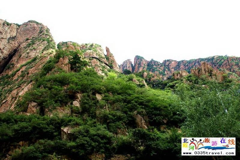 秦皇島龍?jiān)乒龋∩叫闼┚皡^(qū)電話18633570222  15703350808