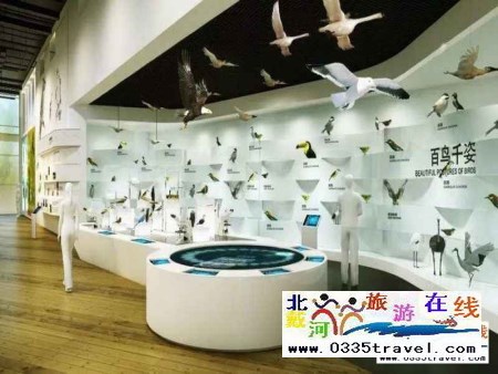 秦皇島北戴河鳥類博物館