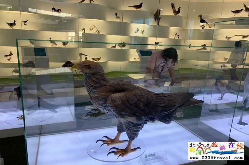 秦皇島北戴河鳥(niǎo)類(lèi)博物館