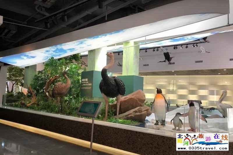 秦皇島北戴河鳥(niǎo)類(lèi)博物館