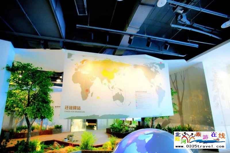 秦皇島北戴河鳥(niǎo)類(lèi)博物館