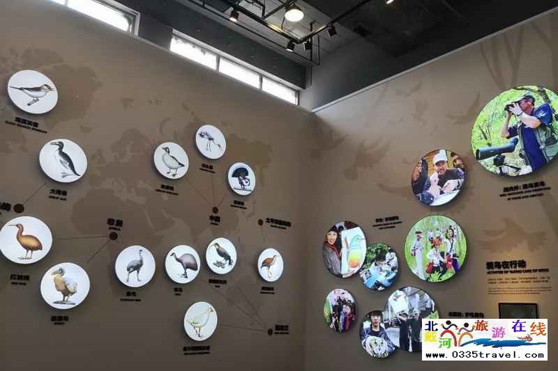 秦皇島北戴河鳥(niǎo)類(lèi)博物館