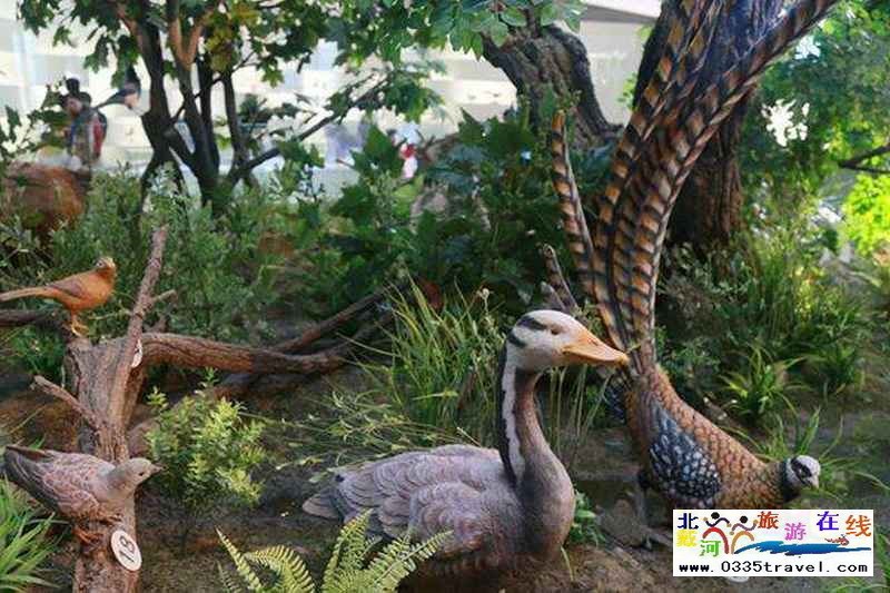 秦皇島北戴河鳥(niǎo)類(lèi)博物館