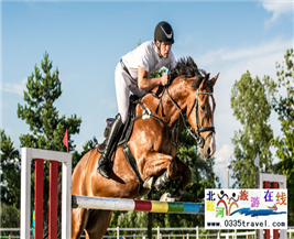 [秦皇島] 秦皇島北戴河超硬核馬術(shù)俱樂部集錦——兒童馬術(shù)課程：英倫國際馬術(shù)俱樂部、仁軒馬術(shù)俱樂部、阿那亞馬會