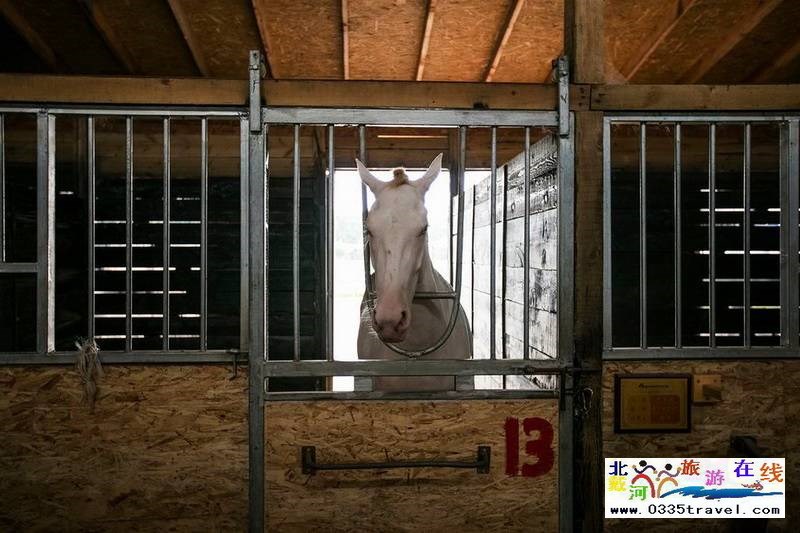 北戴河英倫國際馬術俱樂部