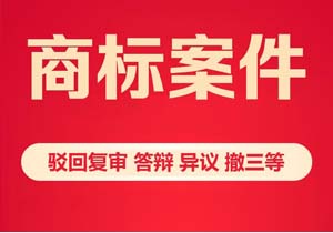 商標(biāo)代理機(jī)構(gòu)的業(yè)務(wù)范圍包含哪些?一篇講透核心業(yè)務(wù)，選對機(jī)構(gòu)不吃虧!